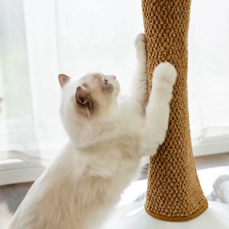 Premium Cat Scratcher Board: Durable, Stylish, and Feline-Approved Design for Endless Play and Comfort