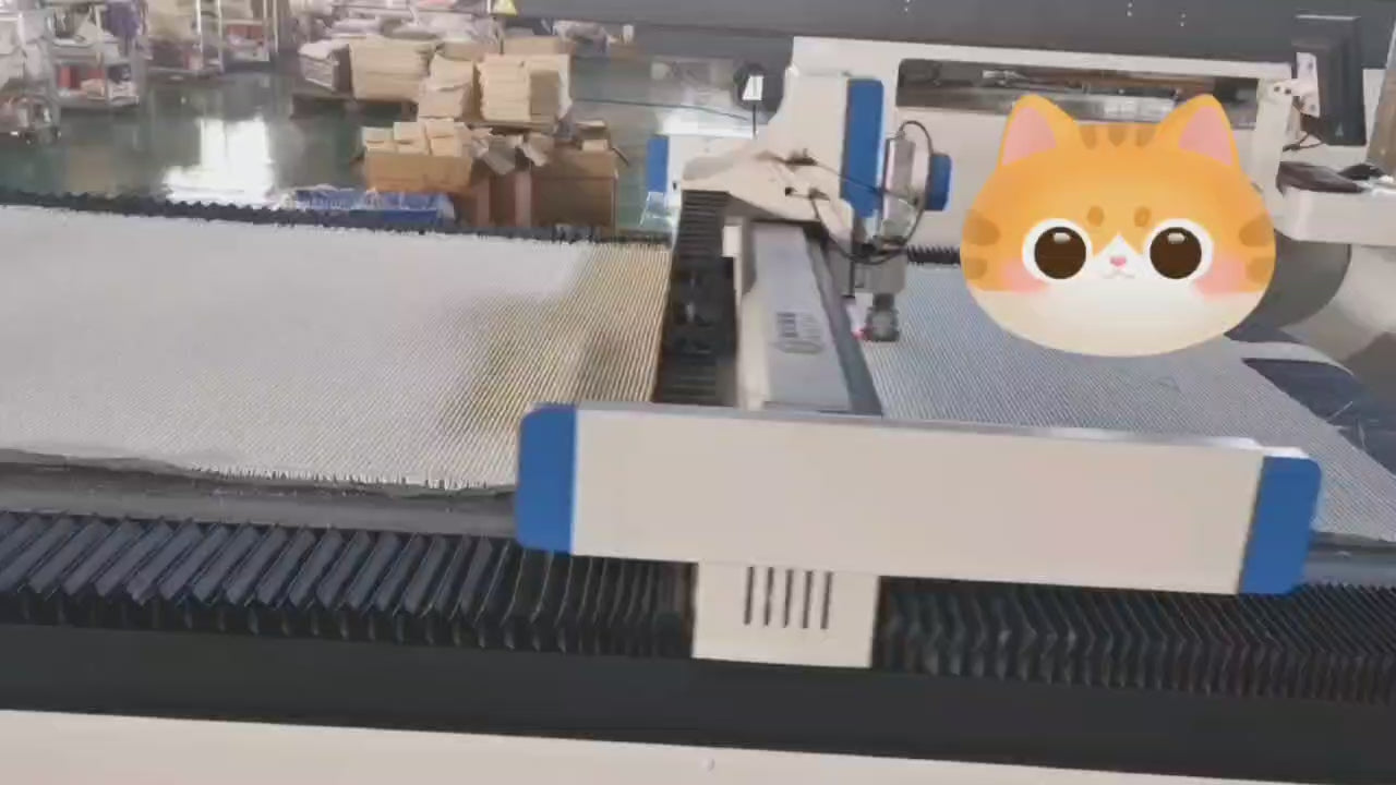 動画を読み込む: 